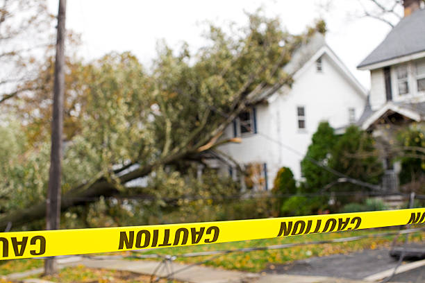 Storm Damage: Now What?