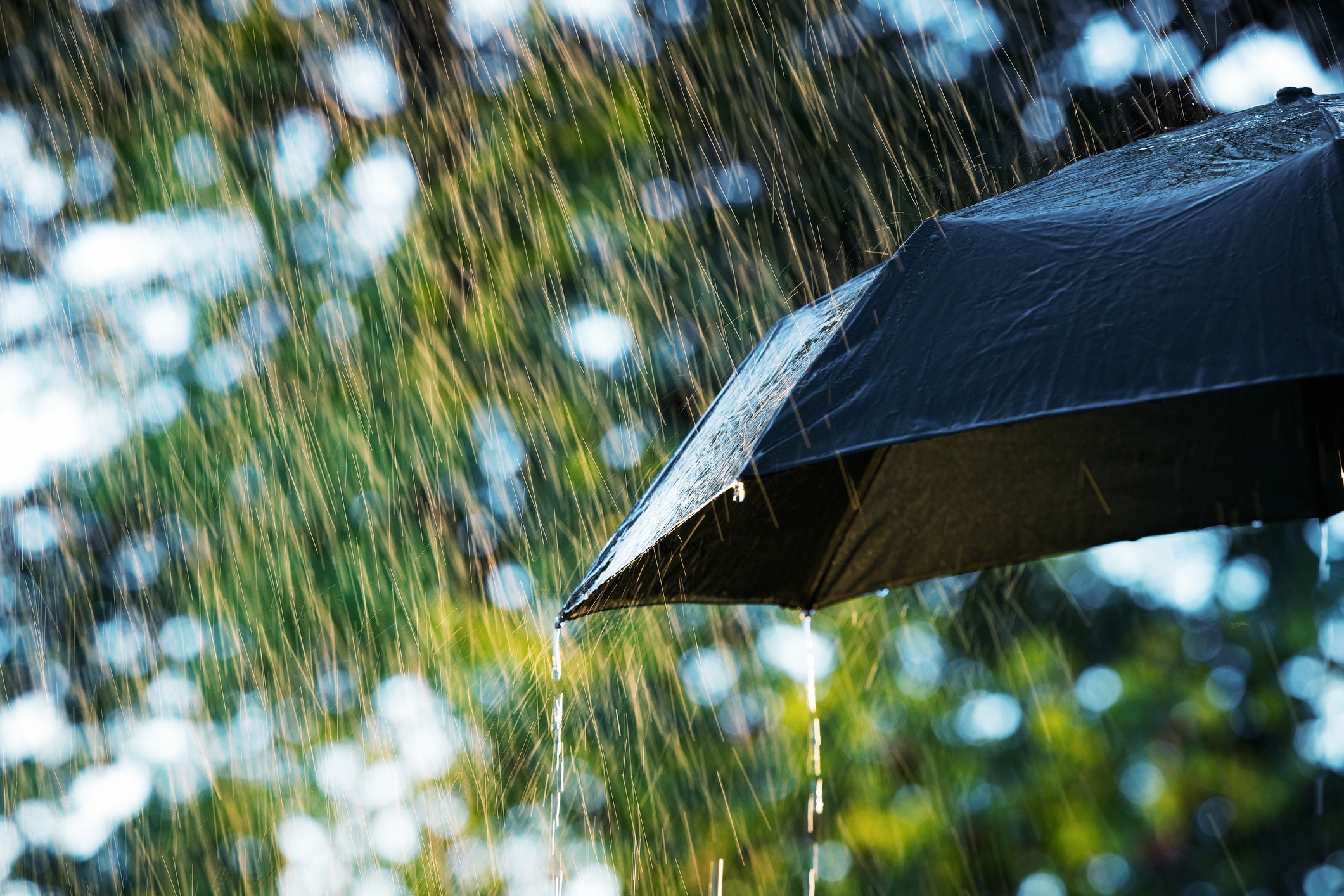 Top 6 Insurance Coverage Gaps We See Every Spring—and How to Avoid Them